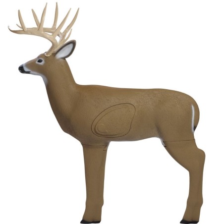 3-D Field logic Big Buck